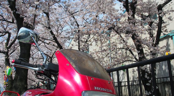 赤ゼルライダーEP77最終章中編～ラストスパート～