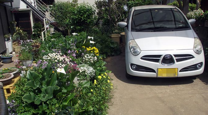 ワタシのライフプランがががが