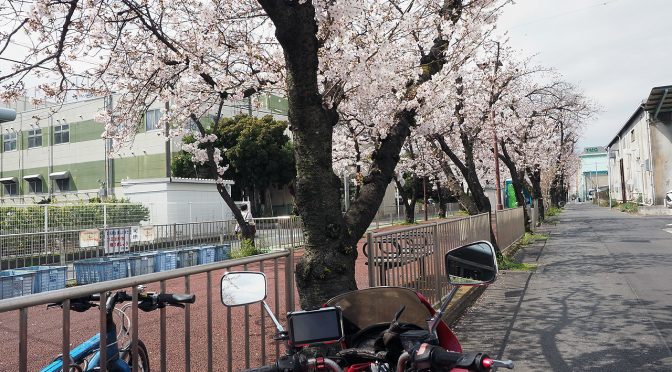 それでも春は来る