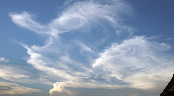 夏の終わりのハーモニー