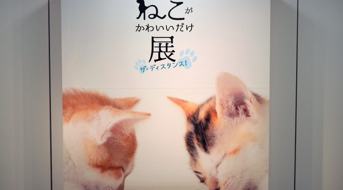 変わりゆく街とぬこ展