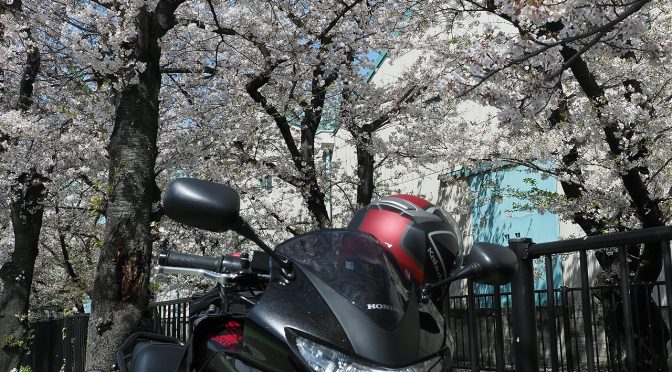 黒エフが征くEP6～嵐が去った後に～