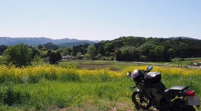 黒エフが征くEP8～プチプチ～