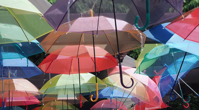 黒エフが征くEP10～あじさい街道不発～