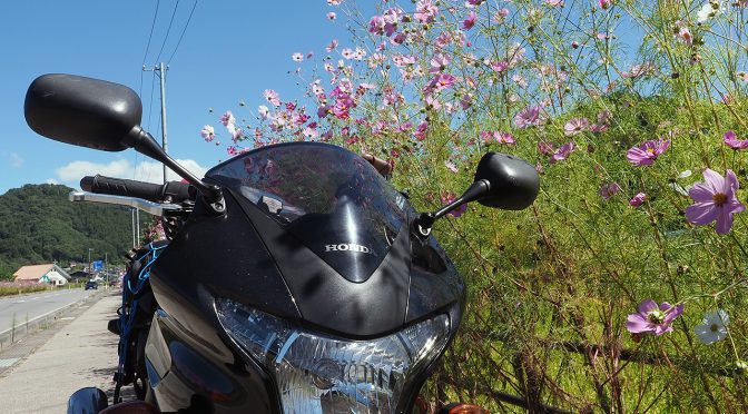 黒エフが征くEP13～コスモスビーナス！1日目コスモス編～