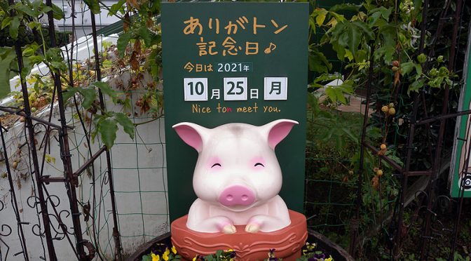 黒エフが征くEP14～解除～