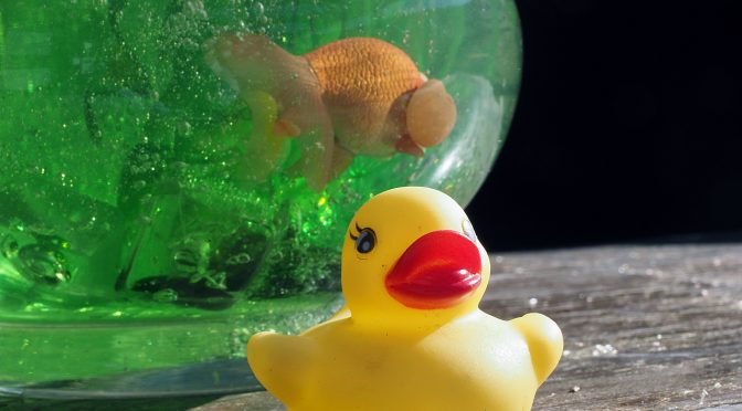 黒エフが征くEP17～走りじまい～