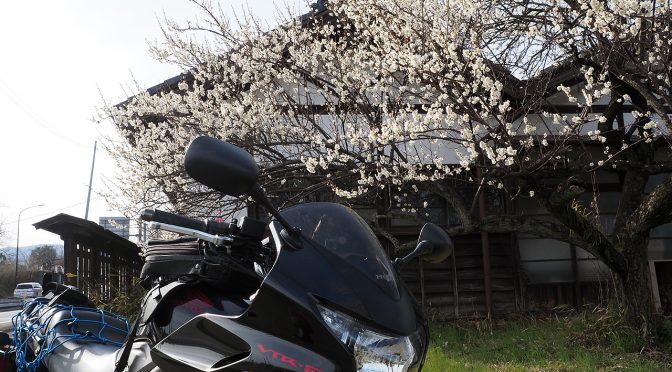 黒エフが征くEP19～春の訪れは梅から～