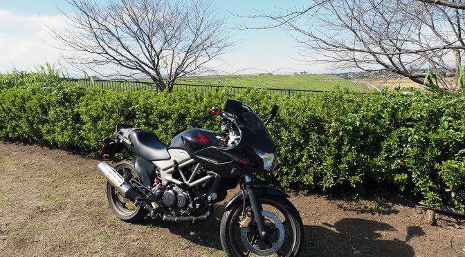 黒エフが征くEP43その後～ドナドナから引き取った～