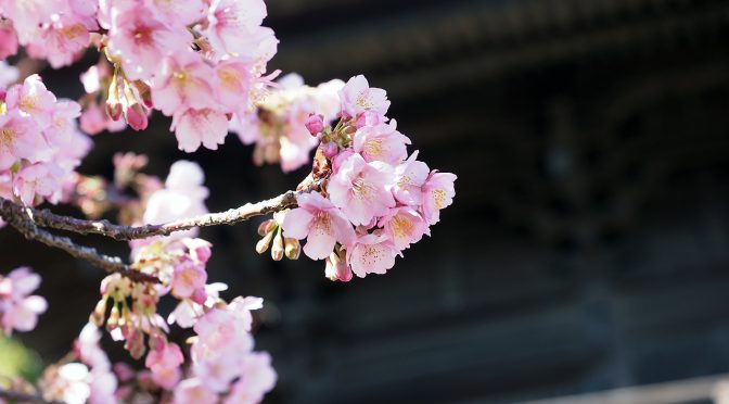 寒かったり風が吹いたり