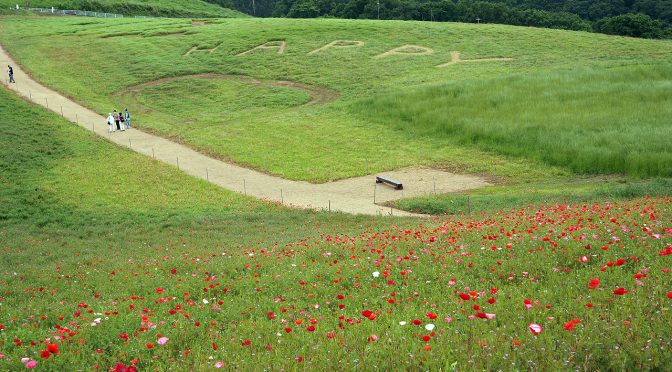 黒エフが征くEP48～天空のポピー？なの？～
