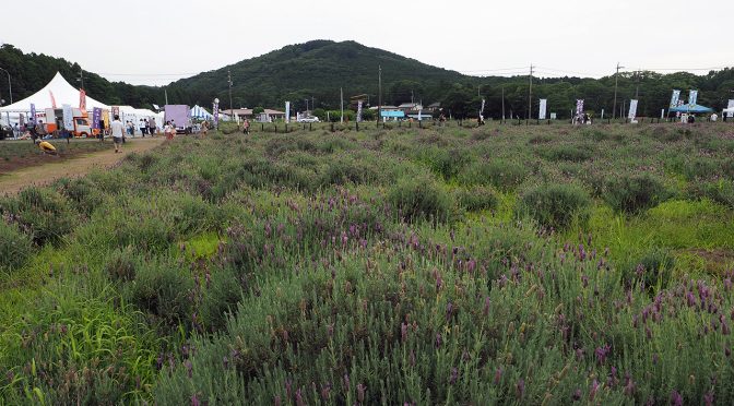 黒エフが征くEP49～華の盛りは短くて～