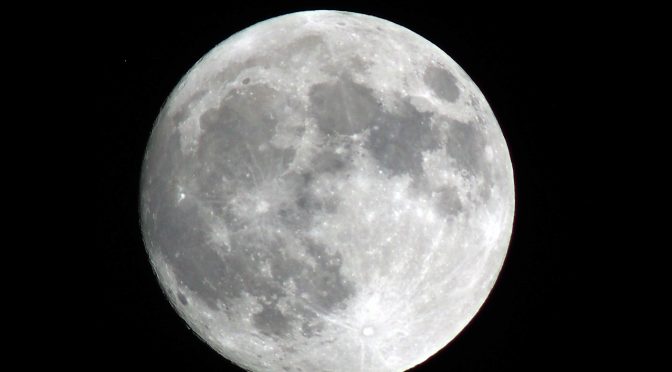 中秋だってばよ