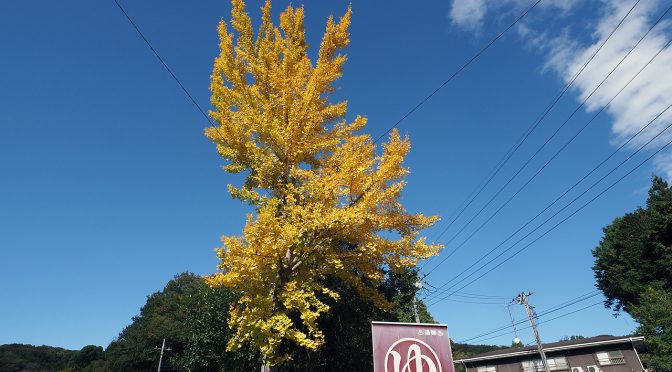 黒エフが征くEP54～秋色～