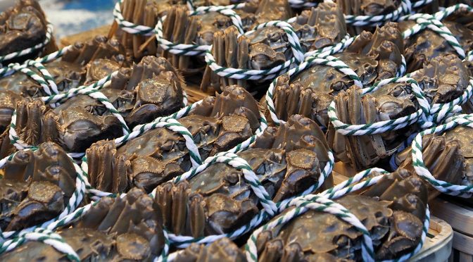 それでも歳は暮れてゆく